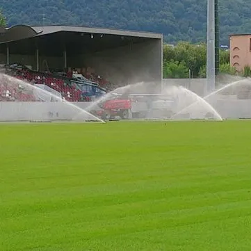 campo